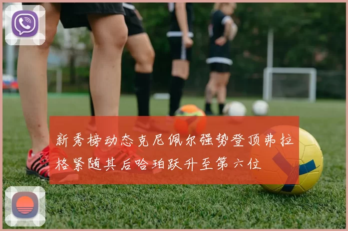 新秀榜动态克尼佩尔强势登顶弗拉格紧随其后哈珀跃升至第六位