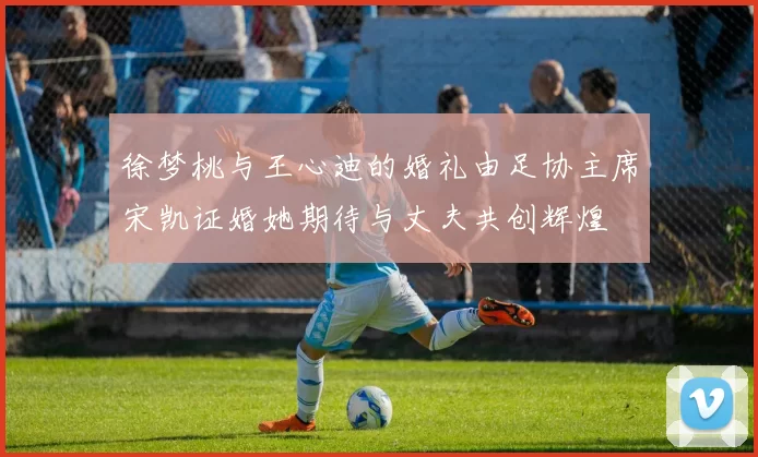 徐梦桃与王心迪的婚礼由足协主席宋凯证婚她期待与丈夫共创辉煌