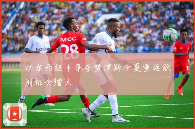 切尔西纽卡争夺努涅斯今夏重返欧洲机会增大